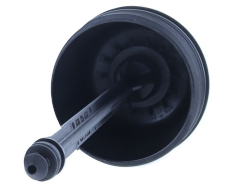 Cover, oil filter housing, Image 2