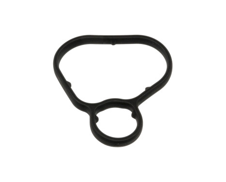 Gasket, oil filter housing