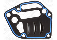 Gasket, oil filter housing