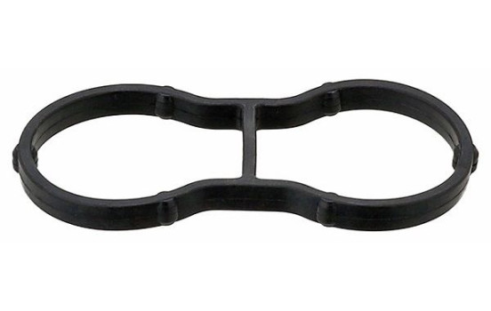 Gasket, oil filter housing