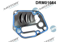 Gasket, oil filter housing