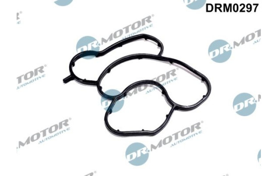 Gasket, oil filter housing