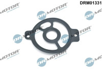 Gasket, oil filter housing