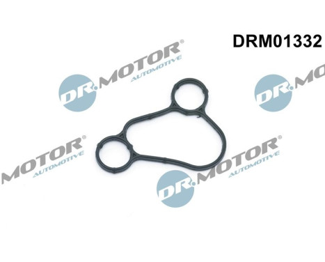 Gasket, oil filter housing