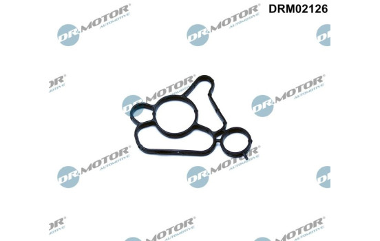 Gasket, oil filter housing