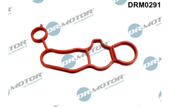 Gasket, oil filter housing