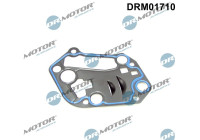 Gasket, oil filter housing