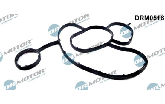 Gasket, oil filter housing