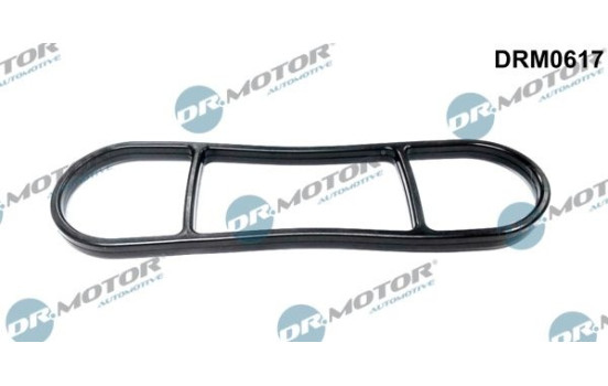 Gasket, oil filter housing