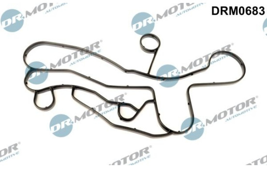 Gasket, oil filter housing