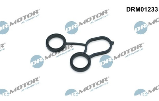 Gasket, oil filter housing