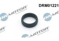 Gasket, oil filter housing