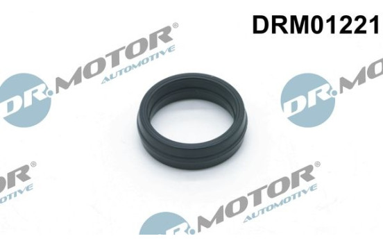 Gasket, oil filter housing