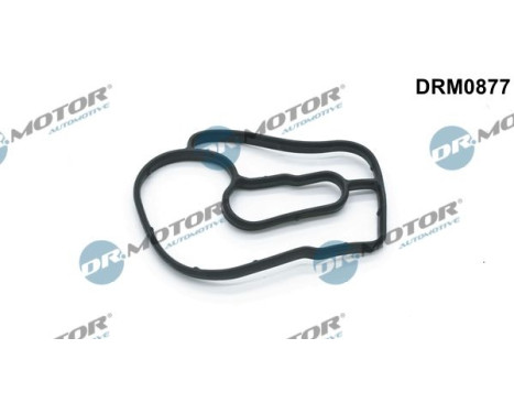 Gasket, oil filter housing