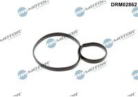 Gasket, oil filter housing