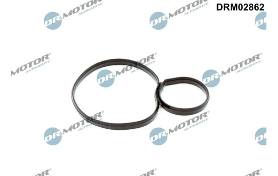 Gasket, oil filter housing