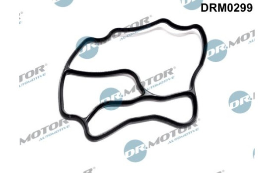 Gasket, oil filter housing