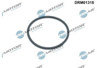 Gasket, oil filter housing