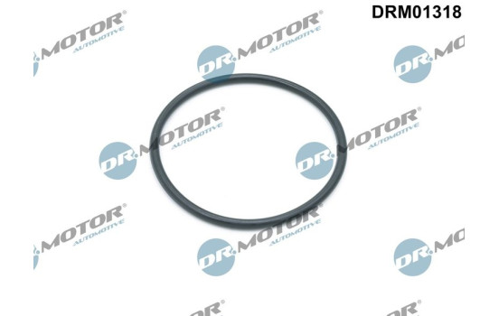 Gasket, oil filter housing