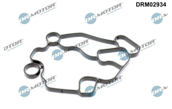 Gasket, oil filter housing