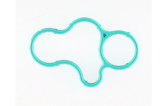 Gasket, oil filter housing