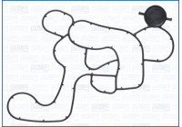 Gasket, oil filter housing