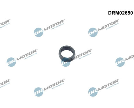 Gasket, oil filter housing