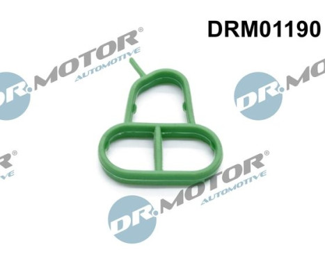 Gasket, oil filter housing