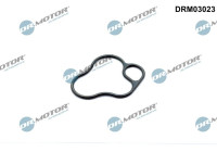 Gasket, oil filter