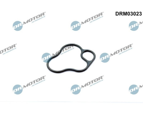 Gasket, oil filter
