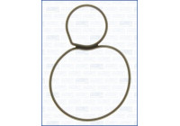 Gasket/ Seal