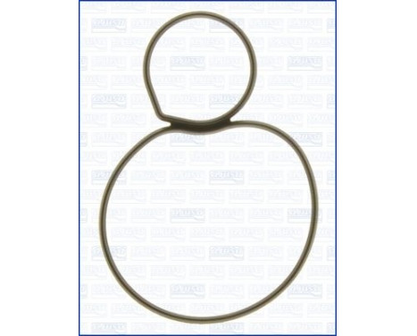 Gasket/ Seal