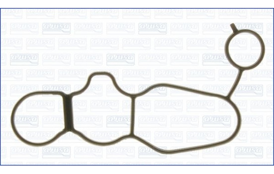 Gasket/ Seal