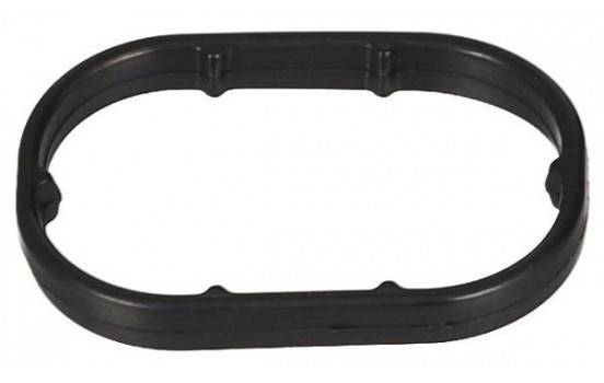 Seal, oil filter housing