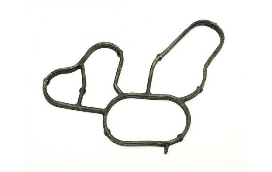 Seal, oil filter housing