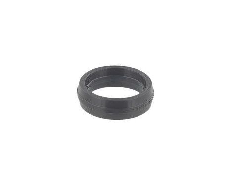Seal, oil filter housing