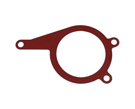 Gasket, vacuum pump