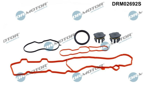 Gasket set, timing case