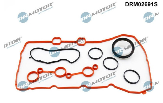 Gasket set, timing case