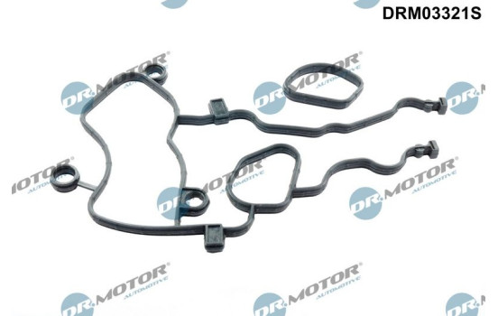 Gasket set, timing case