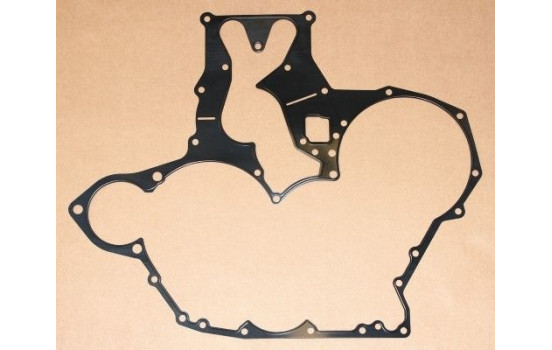 Gasket, timing case 008.880 Elring