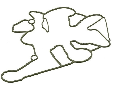 Gasket, timing case 444.900 Elring