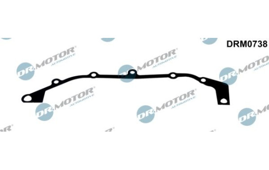 Gasket, timing case cover