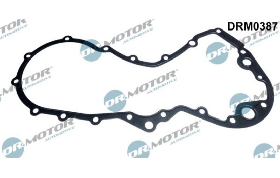 Gasket, timing case cover