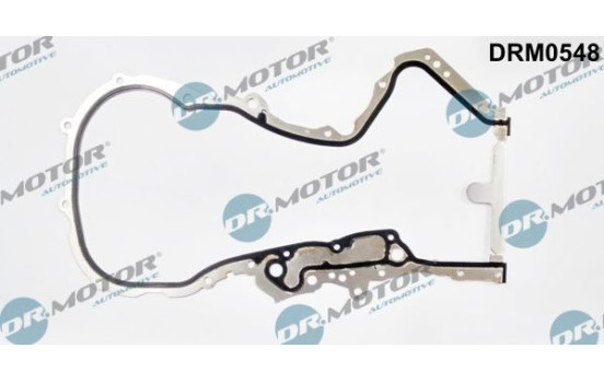 Gasket, timing case cover