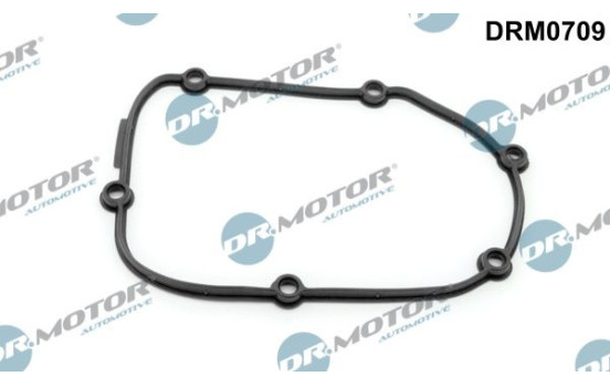 Gasket, timing case cover