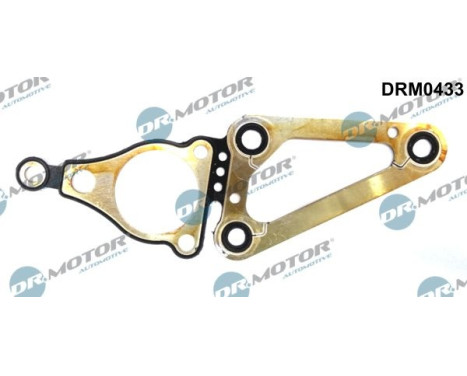 Gasket, timing case cover