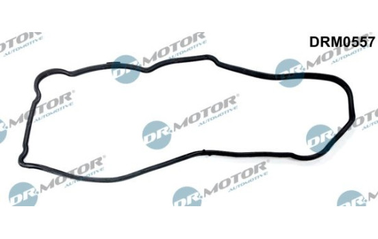 Gasket, timing case cover