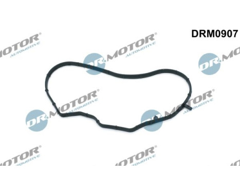 Gasket, timing case cover