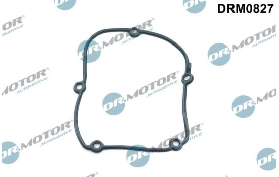 Gasket, timing case cover